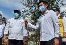Basuki Hadimulyono Menteri PUPR Tanam 6.600 Pohon Kayu Putih di Tol Lampung