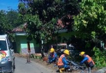 PLN Gerak Cepat Atasi Jaringan Dan Tiang Listrik Roboh Akibat Cuaca Ekstrem