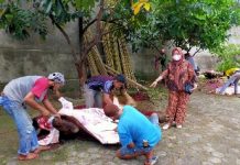 DPD Partai Gerindra Bagikan 500 Paket Daging Qurban