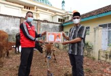 PKS Bandarlampung Bagikan 10.000 Paket Qurban