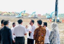 PLN Siap Pasok Daya Andal ke Pabrik Baterai Mobil Listrik Pertama di Asia Tenggara