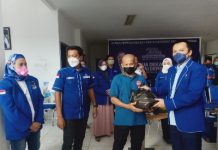 DPD Partai Demokrat Rayakan Dua Dekade Nasional Secara Virtual
