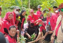 DPD PDI Perjuangan Tanam Ratusan Pohon Sebagai Rangkaian HUT Ke-49 dan Kado Hari Lahir Ketua Umum