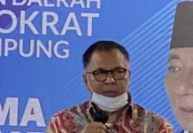 Meski Jadi Penasehat Khusus, Alzier Belum Putuskan Bergabung ke Demokrat