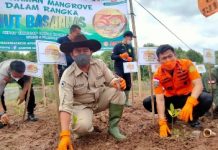 Dalam Rangka HUT Ke-50 Basarnas Tanam Mangrove