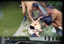 Diduga Proyek Asal-asalan Dinas Perikanan, Dikerjakan Keluarga Ketua DPRD Tubaba
