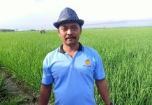 Petani Lampung Rasakan Manfaat Pupuk Subsidi Hingga KUR Pertanian