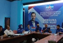 Dinamika Politik Demokrasi Partai Demokrat Lampung