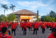 DPD PDI Perjuangan Lampung Ikuti Pemecahan Rekor Muri SICITA