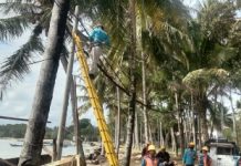 Sukseskan Ajang World Surf League Krui Pro 2022, PLN Siapkan Jaringan Listri Andal di Pesisir Barat Lampung