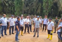 Pacu Agronomis, Sawit PTPN VII Wilayah Sumsel Progresif