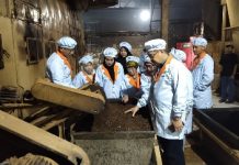 Harga Teh Stuck, PTPN VII Pagaralam Diminta Kreatif