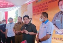 Erick Thohir: Butuh Sinergitas Pusat dan Daerah untuk Maksimalkan Kebutuhan Pangan