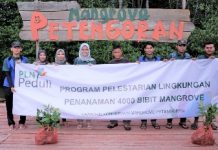 PLN Tanam 4000 Mangrove dan Bangun Fasilitas Ekowisata