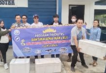 Jaga Ekosistem Laut IJP dan BBPBL Lampung Lepaskan Ribuan Ikan
