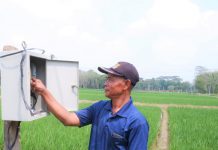 Modernisasi Pertanian Electrifying Agriculture PLN Dorong Petani Lampung Raup Untung
