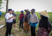 Gus Muhaimin: Subsidi Pupuk Harus Diperbanyak di Lampung