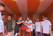 Burung Kicau Lampung Fair Piala Gubernur Sukses, Kicau ‘Aceng’ & ‘Kingkong’