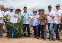 PTPN VII Betung Krawo Tanam Perdana Kelapa Sawit
