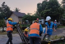 Pasca Cuaca Ekstrem, PLN Gerak Cepat Pulihkan 100 Persen Kelistrikan Dua Kabupaten di Lampung