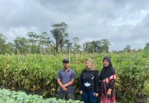 Miris! Petani Tomat Panen Kesedihan, Lesty Ajak Diskusi