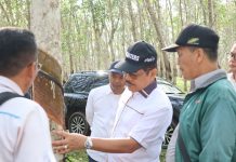 PTPN VII Terapkan Pola Premi Memacu Produktivitas Penyadap