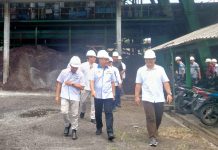 PTPN VII Unit Talopino Kejar Produktivitas TBS 28 Ton/Hektare