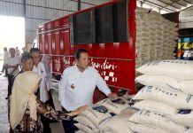 Gubernur Arinal Launching Penyaluran Bantuan Pangan di Kabupaten Pringsewu