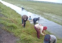 Dinas PUPR Kabupaten Mesuji Gelar Kegiatan Sistem Operasi dan Pemeliharaan