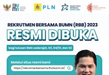PLN Buka 23 Lowongan Pekerjaan di Rekrutmen Bersama BUMN 2023