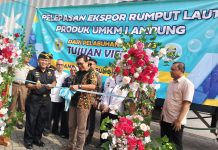 Ekspor Perdana Rumput Laut Produk UMKM Kabupaten Tanggamus