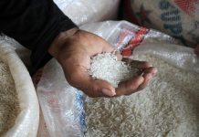 BPS Mencatat Beras Jadi Penyumbang Inflasi Terbesar Pada September 2023