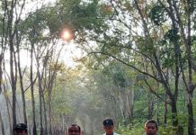 Dengan Etos Kerja, PTPN VII Way Lima Raih Prestasi