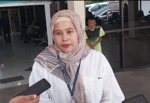 Presiden Joko Widodo Dijadwalkan Kunjungi Lampung, Tinjau Perbaikan Jalan Rusak