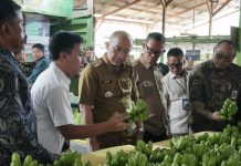 Sekdaprov Fahrizal Buka Business Matching Pembiayaan Klaster Petani Pisang