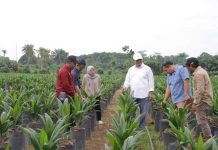 Proyek Bibitan PTPN Bekri, Suplemen Ekonomi Tetangga Mandiri