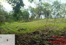 Konflik Lahan PTPN Way Berulu Harus Dihentikan