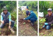 Manajemen Kebun Sedep PTPN I Regional 2 Lakukan Penanaman Pohon