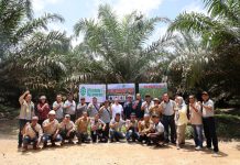 Akselerasi PSR, Petani Kalimantan Pelajari Pola Kemitraan PTPN IV Regional 3 Riau