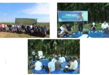 PTPN IV Regional V Gelar In House Training Tanaman Ulang dan Pemancangan