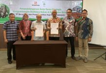 Penandatanganan MoU Puslitkoka PT RPN-PT Berau Coal