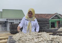 Tahun 2024 Pemprov Lampung Sebarkan 525 Ribu Ekor Benih Ikan
