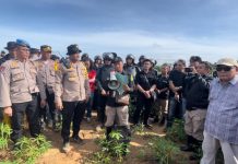 “Tumbur!”, Drama Eksekusi Lahan PTPN VII