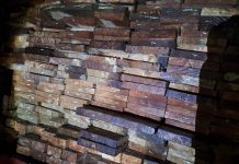 Ditreskrimsus Polda Sita 291 Potong Kayu Meranti Di Back Up Polsek Maje