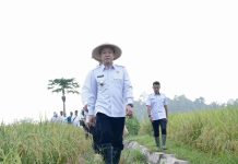 Dengan Teknologi BBM, Pringsewu jadi Lumbung Pangan Organik