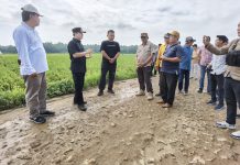 Cek Jalan Rusak, Pj Bupati Pringsewu Langsung Cari Solusi