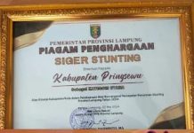 Pj Bupati Pringsewu Terima Penghargaan Aksi Konvergensi Penurunan Stunting
