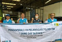 PLN UID Lampung Dukung Peningkatan Kapasitas Produksi Padi