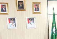 Koordinasi Kadiskes Kaur ke Provinsi, Upaya Sinkronisasi Program