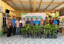 Peringati HLH Sedunia, PTPN IV Regional 6 KSO Tanam Ratusan Bibit Pohon